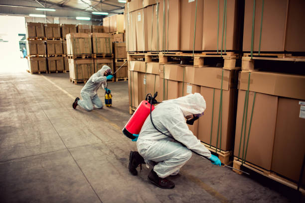 Best Pest Inspection Near Me  in Genesee, CO