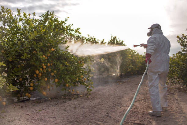 Best Pest Control Near Me  in Genesee, CO